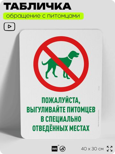 Табличка "Выгуливайте питомцев в специально отведенных местах" на дверь и забор, для двора, дома, подъезда, 40х30 см, Silver Plane x Айдентика Технолоджи