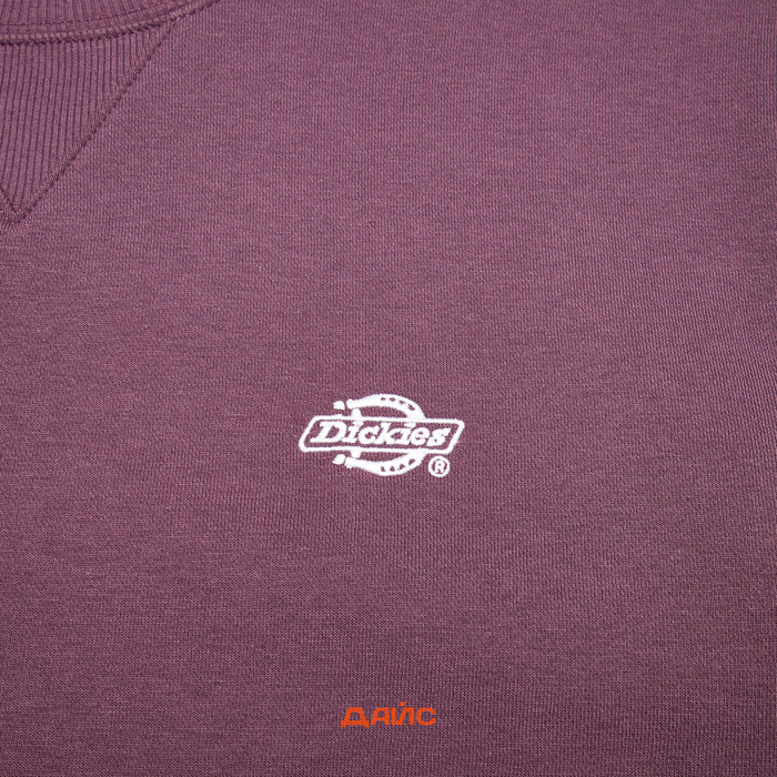 Толстовка мужская Dickies Summerdale Sweatshirt  артикул:DK0A4Y6QJ561 - купить в магазине Дайс