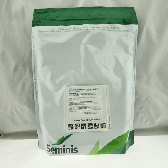 БАЙЯ ВЕРДЕ семена лука на перо (Seminis | Alexagro) – фото 9