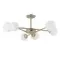 Потолочная люстра Arte Lamp MARCO A2703PL-6SG