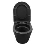 Унитаз подвесной Azario VELA 360х480х360 безободковый, система смыва "Торнадо", с быстросъемным сиденьем "Микролифт", черный матовый (AZ-2480MB)