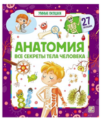 Умные окошки "Анатомия" (Malamalama)