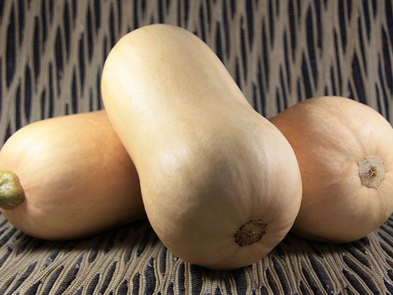 Тиана F1 семена тыквы (Enza Zaden / Энза Заден) – фото 3