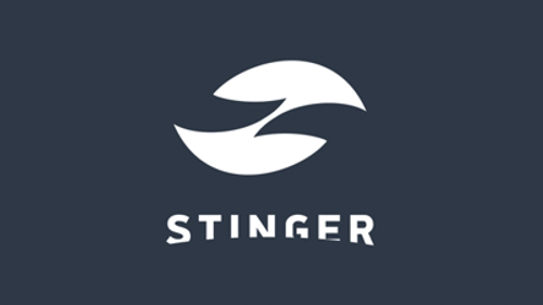 Stinger (КНР)