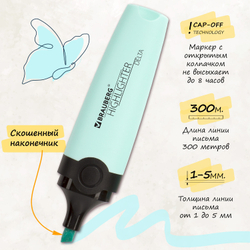 Набор текстовыделителей BRAUBERG 4 шт., АССОРТИ, "DELTA PASTEL", линия 1-5 мм, 151735
