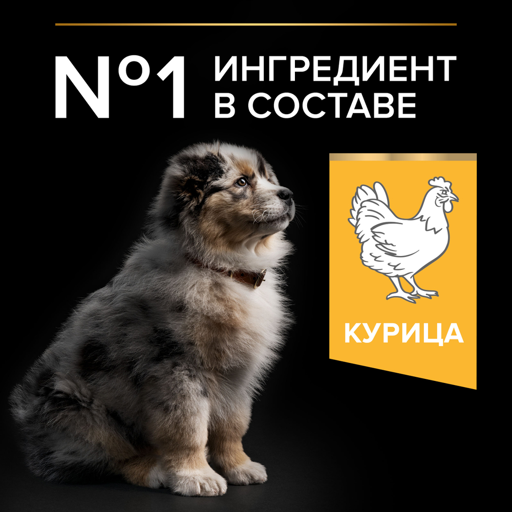 Сухой корм PRO PLAN HEALTHY START для щенков средних пород курица 12 кг