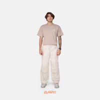  Брюки мужские Dickies Fishersville Pant артикул:DK0A4YSDF901 - купить в магазине Дайс