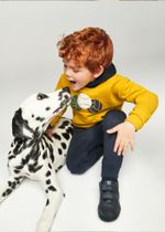 толстовка с двумя брюками