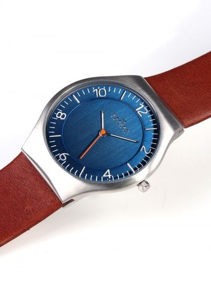 Мужские часы Skagen SKW6112