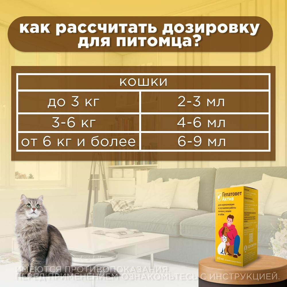 Apicenna Гепатовет Актив для собак и кошек, суспензия для нормализации и улучшения работы печени, 50 мл. Метионин.
