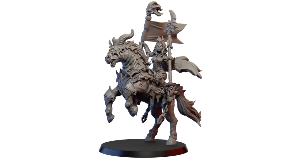 Grand Alliance Chaos Everchosen and Slaves to Darkness Воительница Хаоса на коне №3 миниатюра для dnd, днд, pathfinder, фентези, Настольная игра, НРИ, Варгейм, РПГ