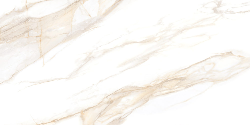 Сэнди Каррара / Sandy Carrara