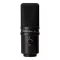 Zoom ZUM-2 PMP Black