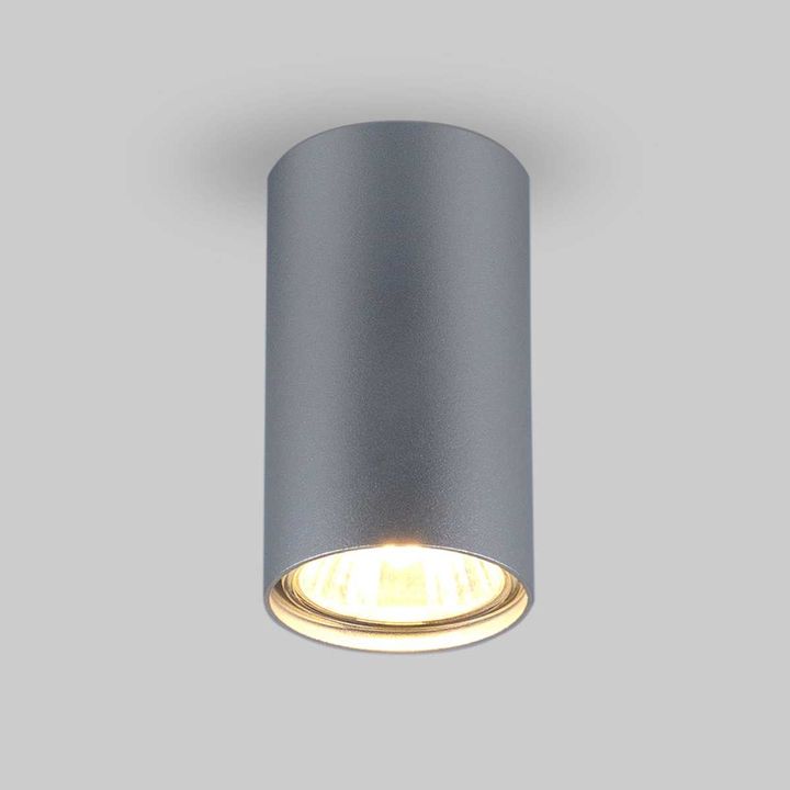 Потолочный светильник Elektrostandard 1081 5257 GU10 SL серебро a037714