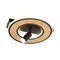 Потолочный светодиодный светильник F-Promo Olika 4438-1C