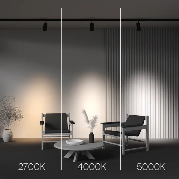 Трековый светильник Фокус / Focus Led Trinity 2700-5000K 30Вт 36° Technical tr197-3-30wcct-m-b