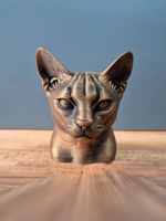 Абиссинская кошка