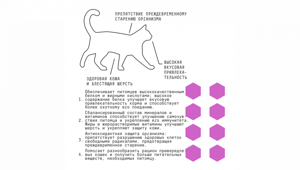 AjO Cat Delicate Taste Сухой низкозерновой корм для привередливых кошек и котят  с индейкой, 1,5 кг