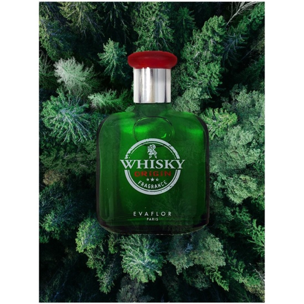 Мужской аромат Evaflor Whisky Origin туалетная вода
