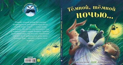 Книжки-картинки. Тёмной, тёмной ночью