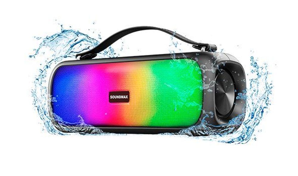 Портативная аудиосистема Soundmax SM-PS5081B(чёрный)