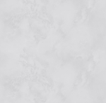 Victoria Stenova 1,06 м 287171 Phantom