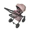 Коляска ANEX e/type 3 в 1 pixie
