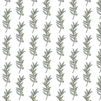 Оливковая ветка