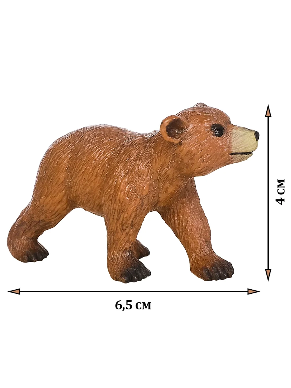 МИР ДИКИХ ЖИВОТНЫХ Семья бурых медведей