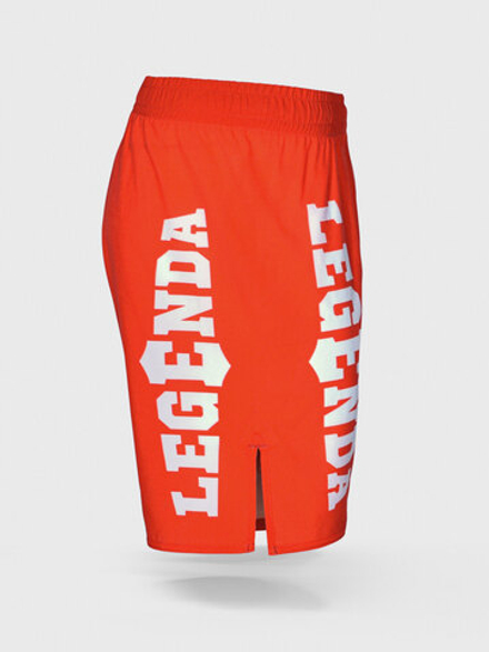 Шорты спортивные тренировочные LEGENDA Меч красный &