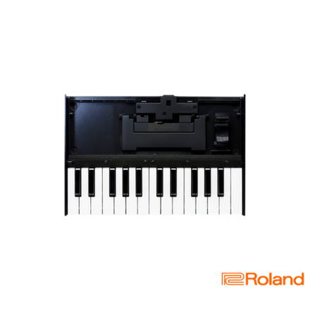 Roland Boutique K-25m