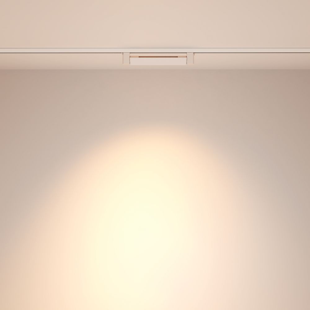 Трековый светильник Technical TR010-1-10W3K-M-W