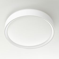 Citilux BOSS CL751250G LED RGB Светильник с пультом Белый