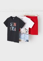 две футболки с шортами