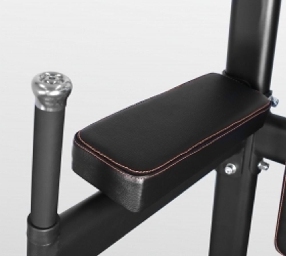 Турник/брусья/пресс Bronze Gym BR-1017