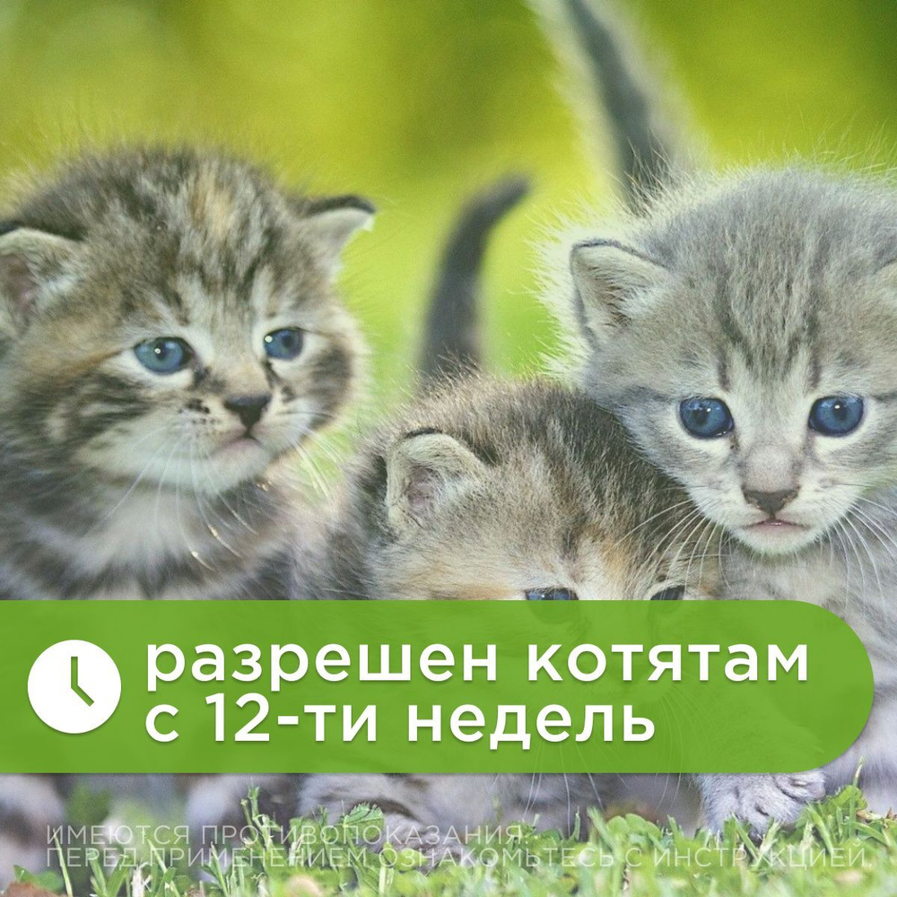 Капли на холку для кошек и котят всех пород от блох, вшей, власоедов, иксодовых и саркоптозных клещей и кровососущих комаров БлохНэт MAX (Астрафарм),1мл