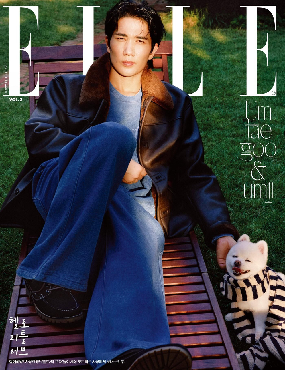 публикация ELLE - 2025.11 VOL. 2 UM TAE GOO B Type