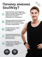 Глюкозамин хондроитин MSM / Soul Way / 120 капсул