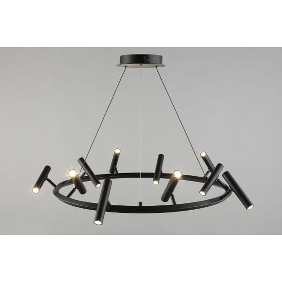 Подвесная светодиодная люстра Aployt Honor APL.067.03.50