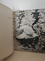 Фото-приключения