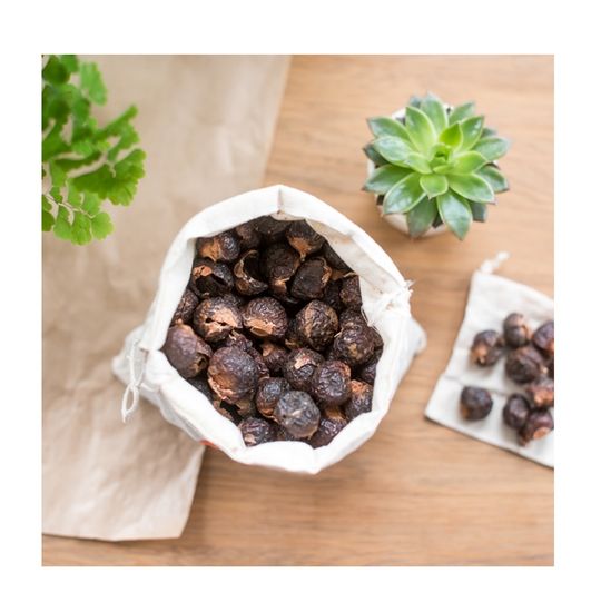 Что такое мыльные орехи? 🥜