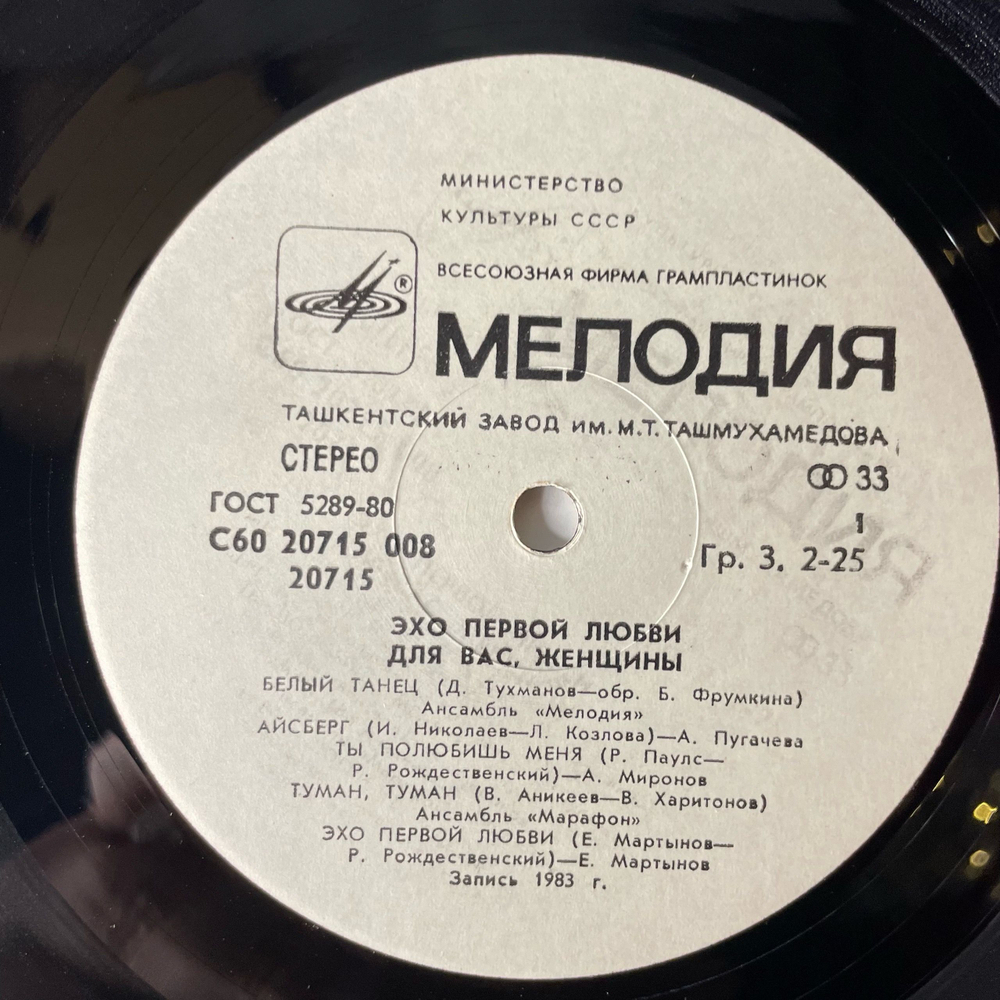 Винтажная виниловая пластинка LP Сборник Эхо Первой Любви (СССР 1984) (Кикабидзе, Мартынов, Миронов и др)
