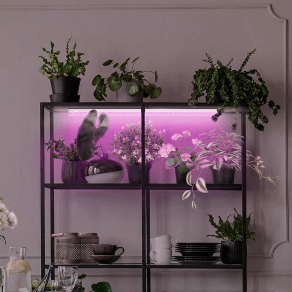 Светильник для растений, фитолампа светодиодная линейная ЭРА LLED-05-T5-FITO-18W-W розового свечения 18 Вт | Линейные фито светильники