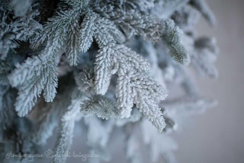 Заснеженная ель с гирляндой «Россо» холодный свет (Литая+пвх) от 1.2 до 2.4 м