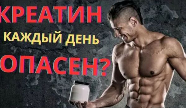 Можно ли принимать креатин каждый день и насколько это безопасно