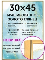 Металлическая рамка 30х45 см