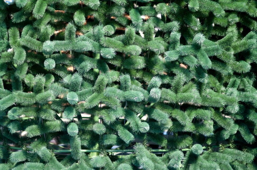 Уличная елка каркасная "Уральская сосна" (Леска) 29 м