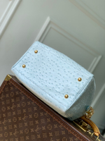 Louis Vuitton Speedy Soft 30