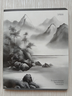 Тетрадь 48 листа А5+. "Прозрачная Дымка", общая, клетка. Формат А5+ (163*203 мм). Арт.120047. С полями. Комплект 5 шт.