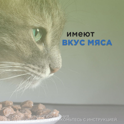 Таблетки для лечения инфекционных заболеваний у собак мелких пород и кошек со вкусом мяса Энроксил 15мг (KRKA), 10 таблеток Энрофлоксацин